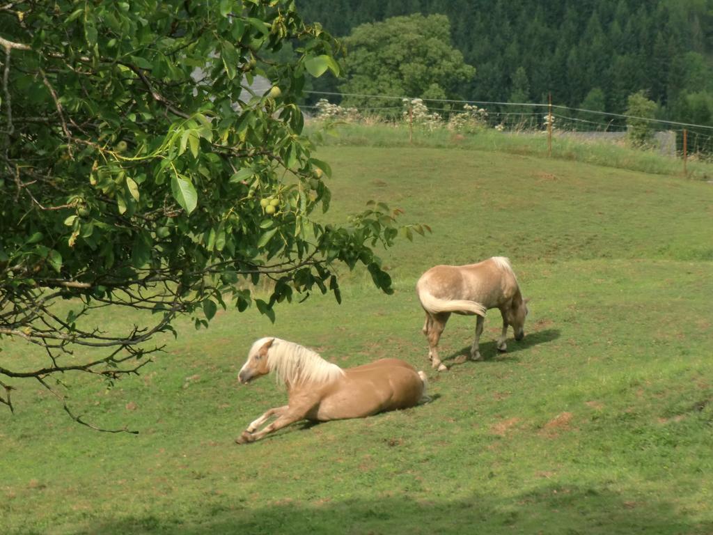 Ferienwohnungen Jodlbauerhof 바이레크 외부 사진